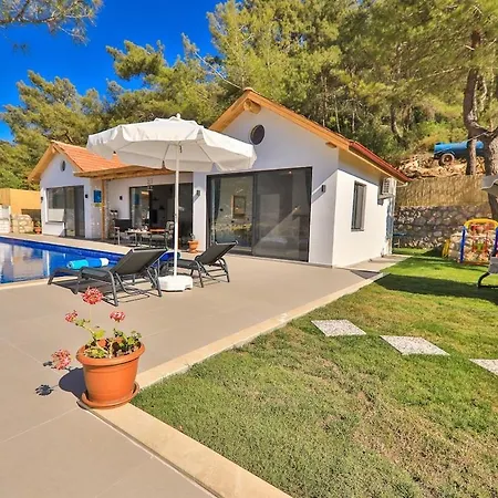 Doga Manzarali Kozalak Kalkan Apartment
